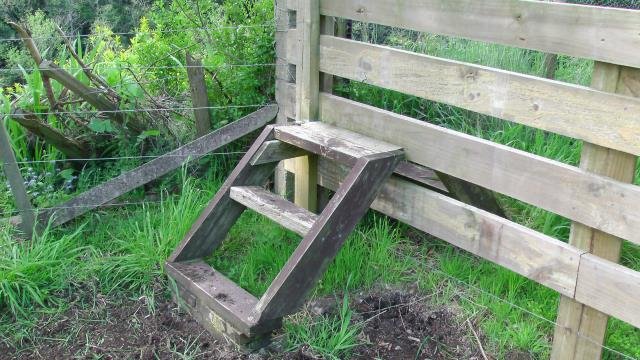 Just one of the obstacles. Cambridge Tree Trust.